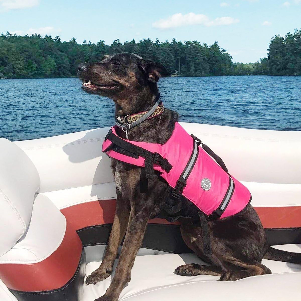 Rip Stop Dog Life Vest, Swimming Vest with Handle, Buoyancy for Doggy Puppy, Dog Life Jacket for Swimming & Boating, M, Pink