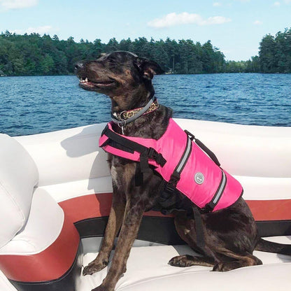 Rip Stop Dog Life Vest, Swimming Vest with Handle, Buoyancy for Doggy Puppy, Dog Life Jacket for Swimming & Boating, M, Pink